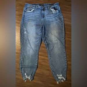 Judy Blue sz 20 Jeans